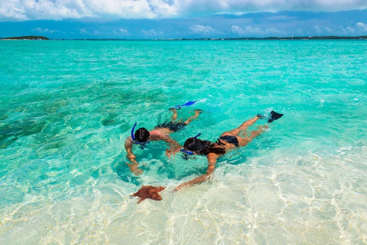 Glass Bottom Snorkeling Tour